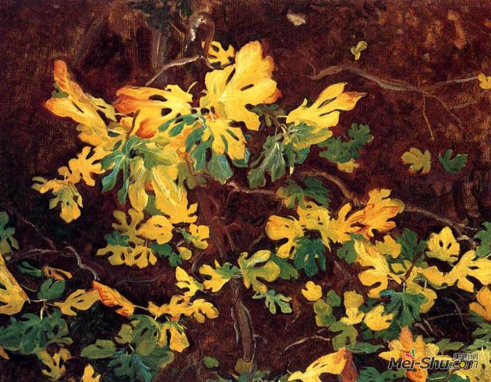 约翰·辛格·萨金特(John Singer Sargent)高清作品《无花果树的研究》