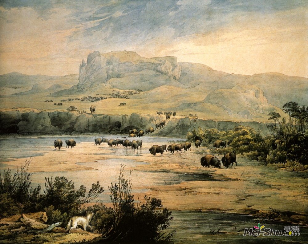 卡尔博德默(Karl Bodmer)高清作品《密苏里上游的水牛景观》