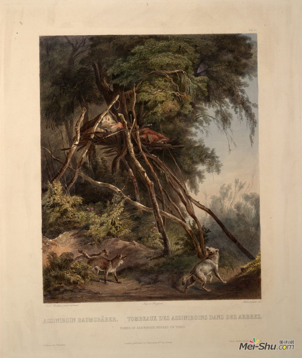 卡尔博德默(Karl Bodmer)高清作品《阿西尼伯因印第安人墓在树上，第30卷第1卷》