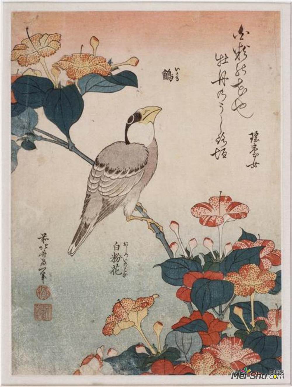 葛饰北斋(Katsushika Hokusai)高清作品《蜡嘴鸟＆安培;＃160;＆和放大器;＃160;奇异变形杆菌》