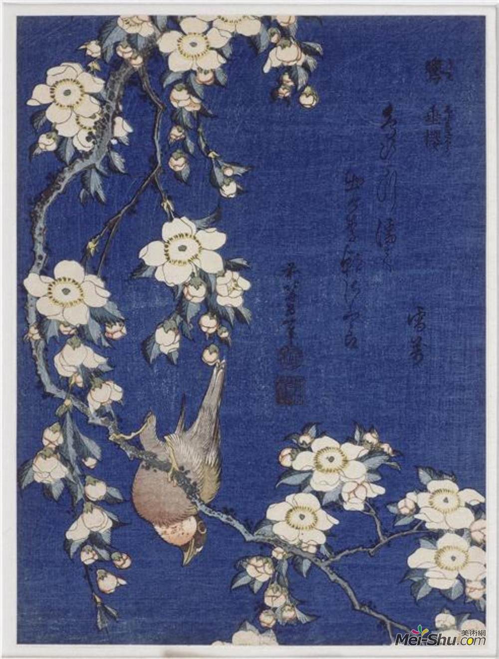 葛饰北斋(Katsushika Hokusai)高清作品《Bullfinch and weeping cherry blos》