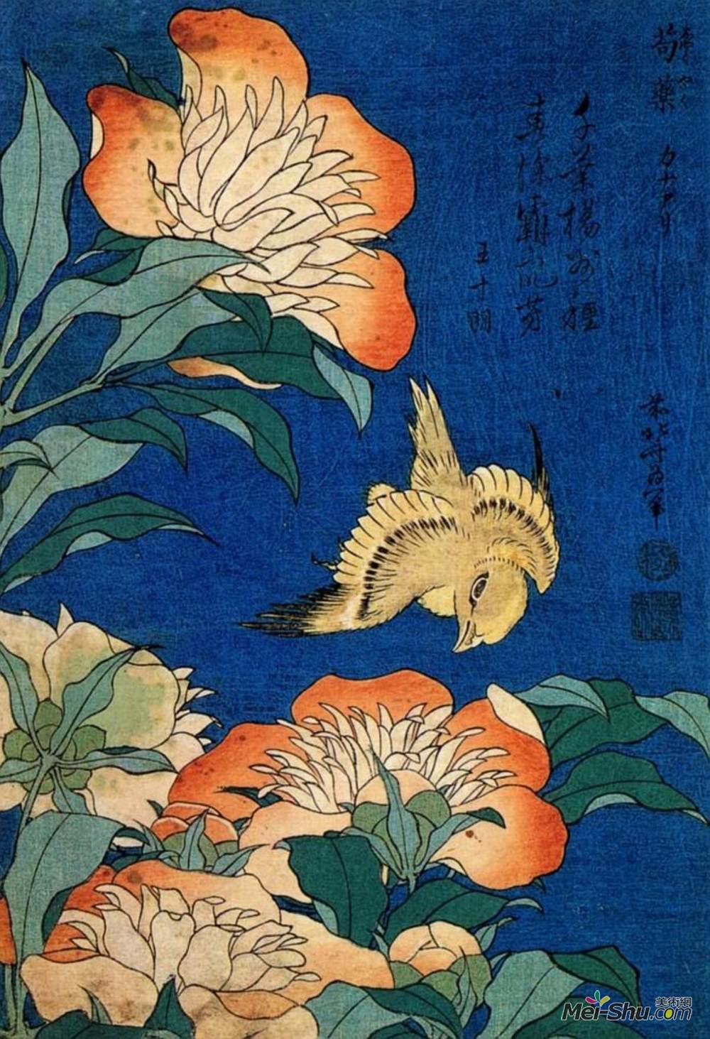 葛饰北斋(Katsushika Hokusai)高清作品《金丝雀和牡丹》