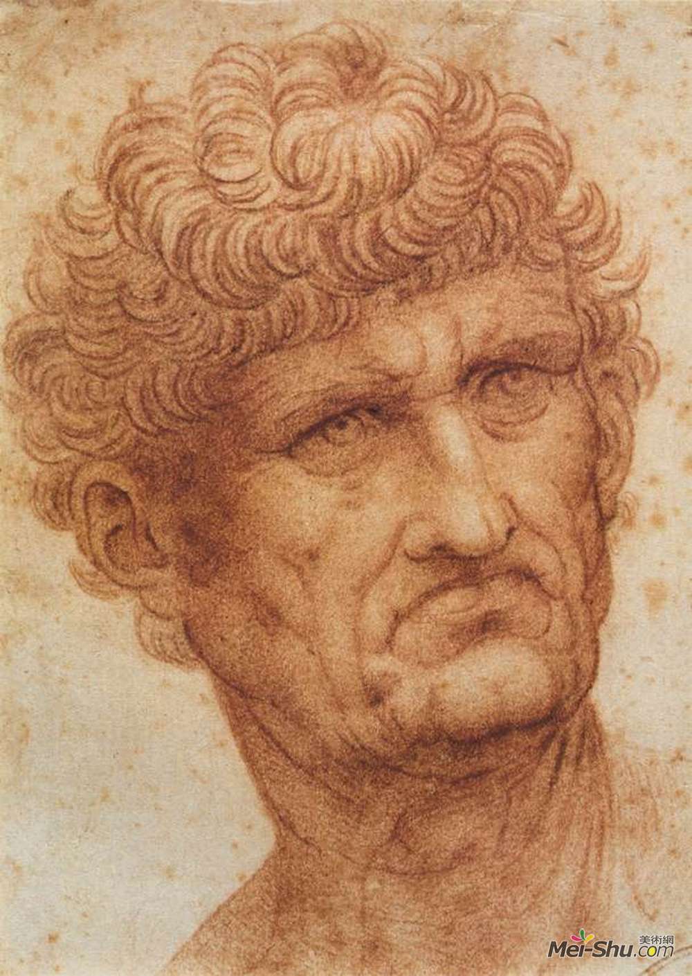 达·芬奇(Leonardo da Vinci)高清作品《男人的头颅》
