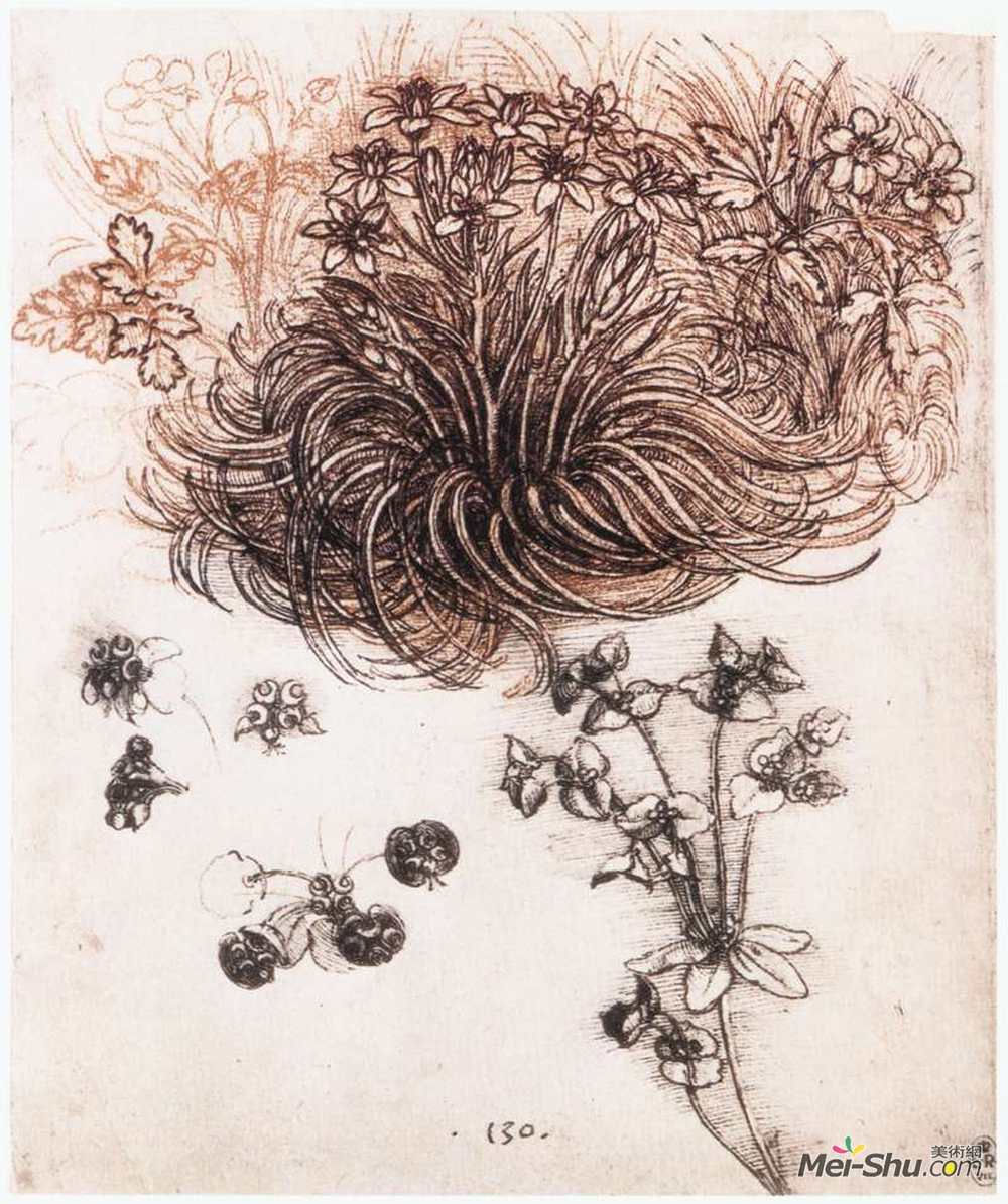 达·芬奇(Leonardo da Vinci)高清作品《伯利恒和其他植物》