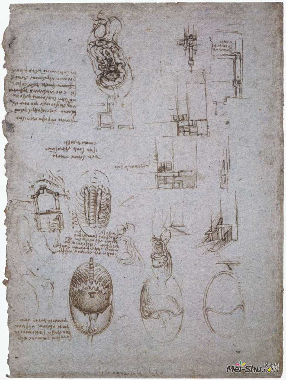 达·芬奇(Leonardo da Vinci)高清作品《梅尔齐别墅研究与解剖学研究》