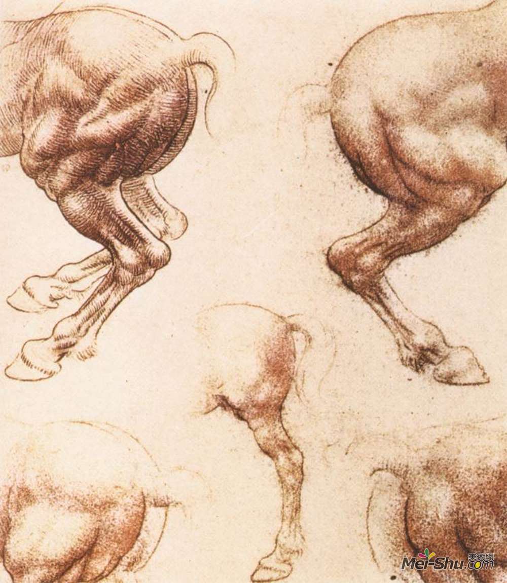 达·芬奇(Leonardo da Vinci)高清作品《马学》