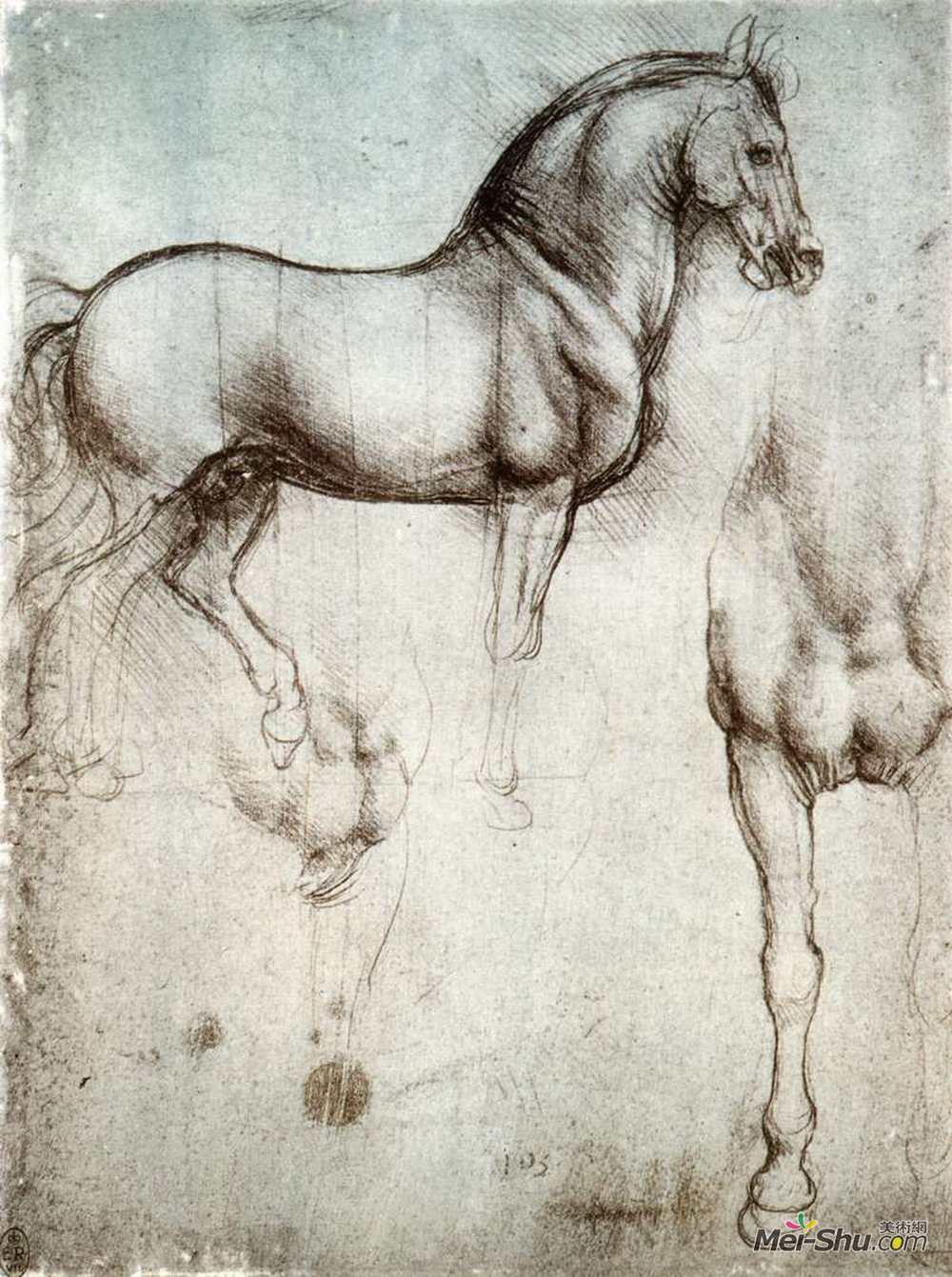 达·芬奇(Leonardo da Vinci)高清作品《马学》