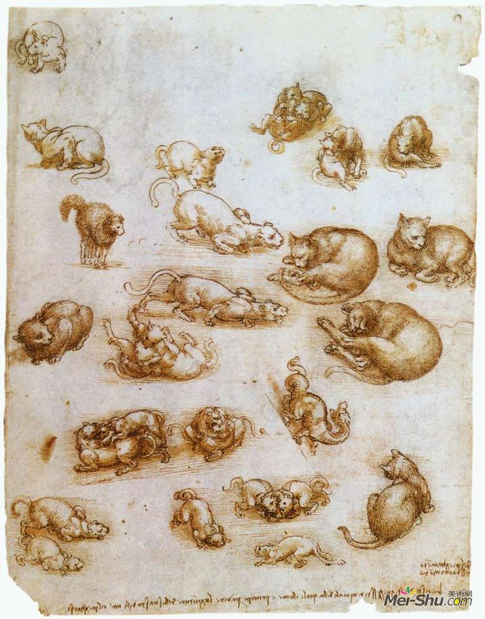 达·芬奇(Leonardo da Vinci)高清作品《与猫、龙及其他动物一起学习》