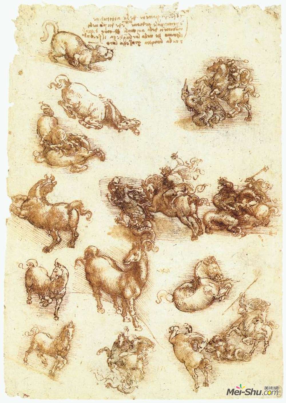 达·芬奇(Leonardo da Vinci)高清作品《马匹学习单》
