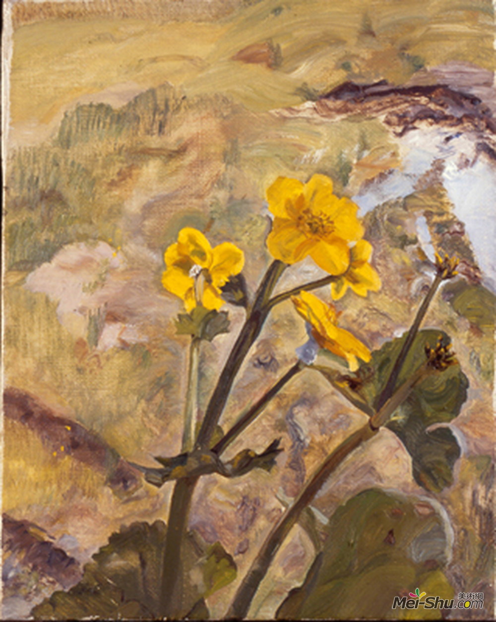 卢西安·弗洛伊德(Lucian Freud)高清作品《Kingcups Souvenir of Glen Artney》