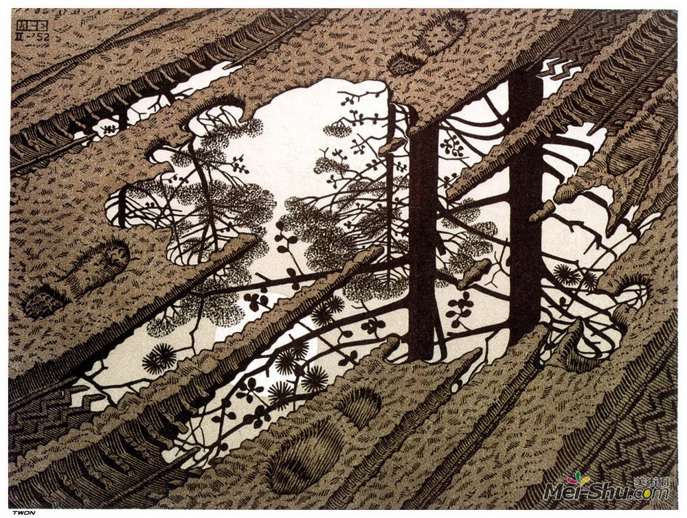 莫里兹·柯尼利斯·艾雪(M.C. Escher)高清作品《水坑》