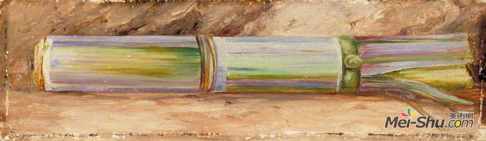 玛丽安娜·诺斯(Marianne North)高清作品《一块甘蔗》