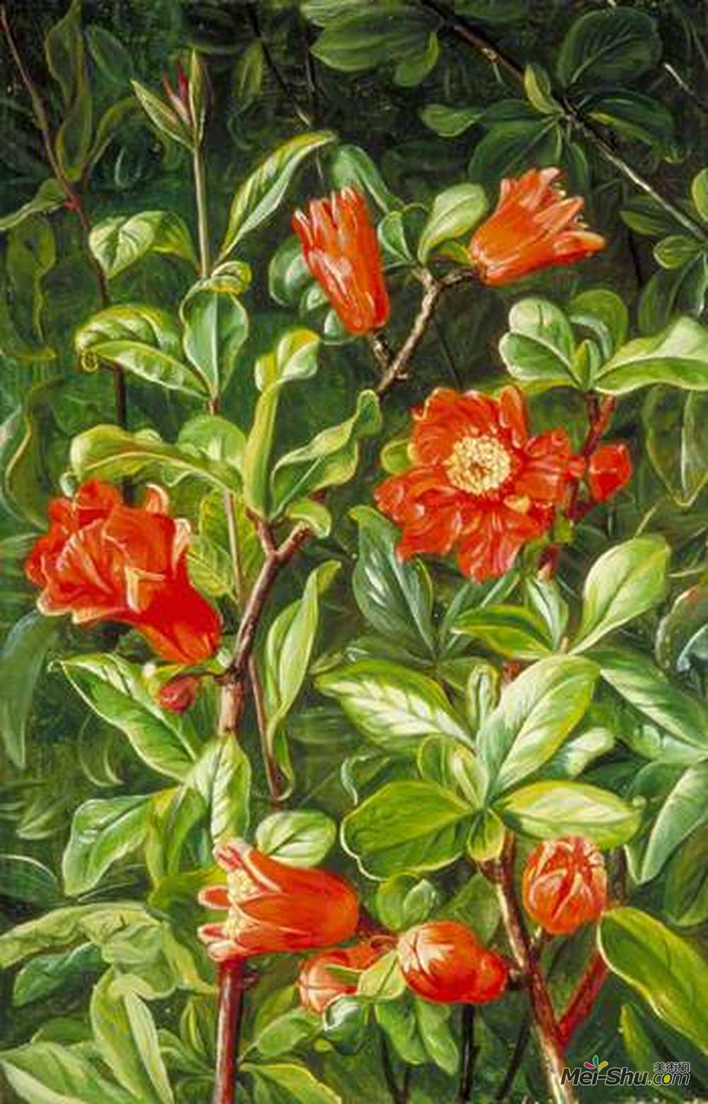 玛丽安娜·诺斯(Marianne North)高清作品《Flowers of the Pomegranate, Painted in Teneriffe》