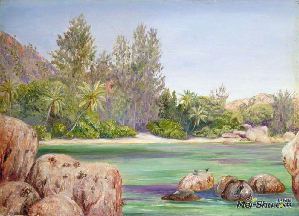 玛丽安娜·诺斯(Marianne North)高清作品《塞舌尔普拉斯林海岸的生活》