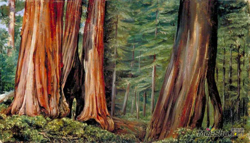 玛丽安娜·诺斯(Marianne North)高清作品《加利福尼亚大树的马里波萨森林》