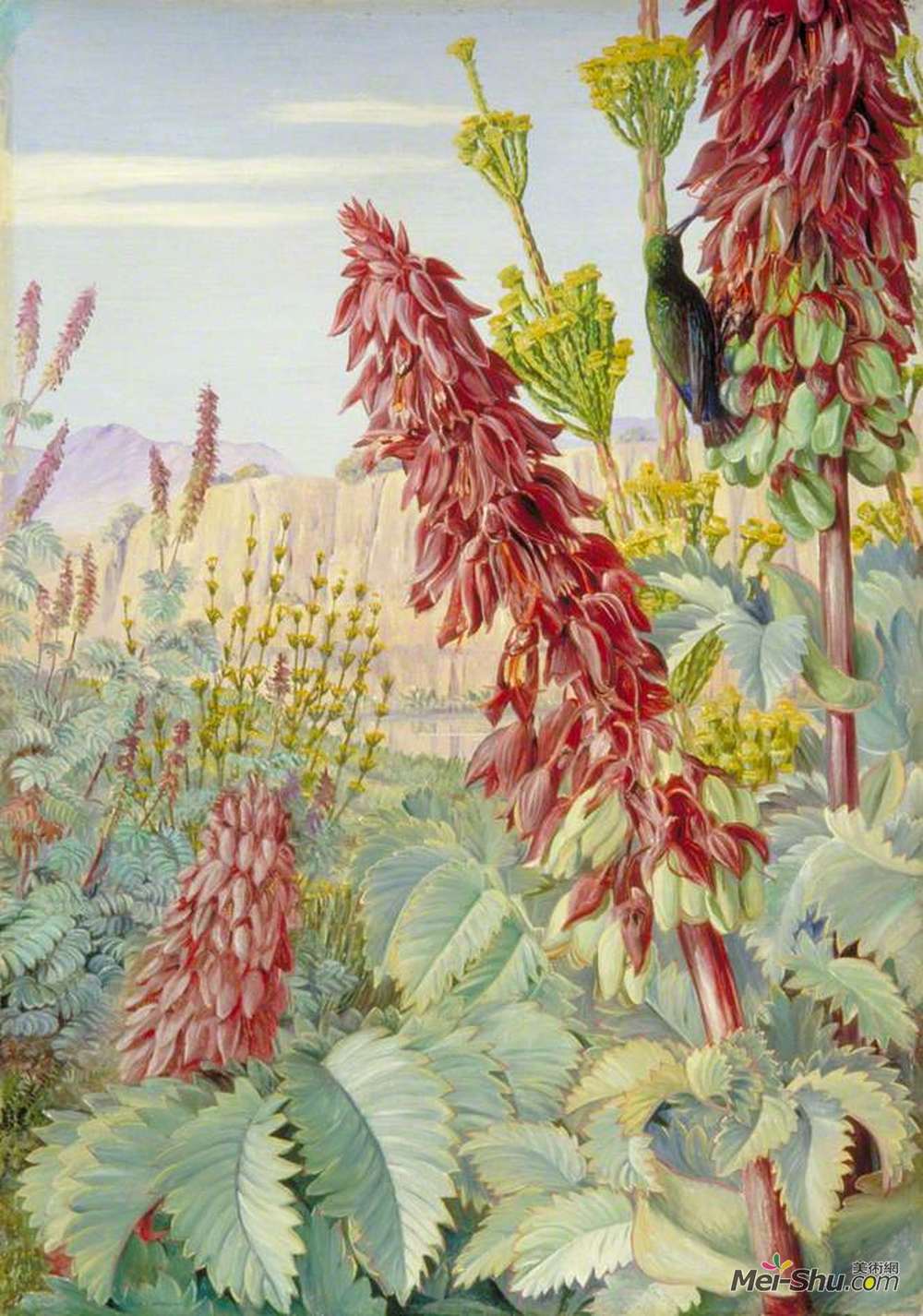 玛丽安娜·诺斯(Marianne North)高清作品《Touch-Me-Not and Sugar-Birds at Tulbagh, South Africa》