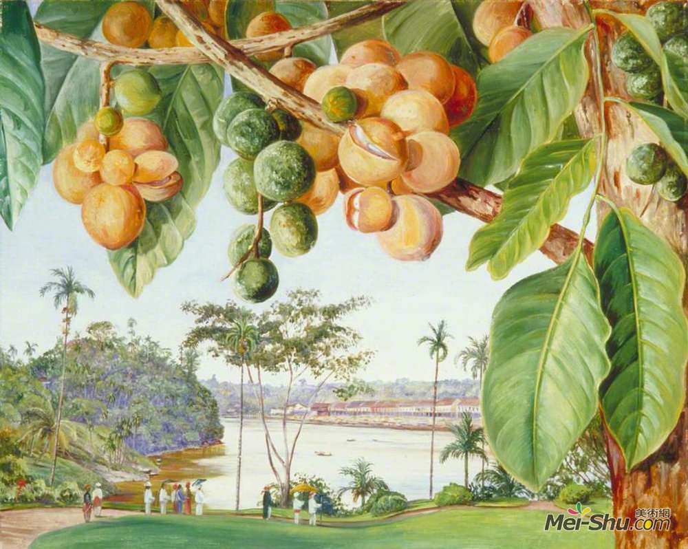 玛丽安娜·诺斯(Marianne North)高清作品《从宫殿，沙捞越，婆罗洲的看法》
