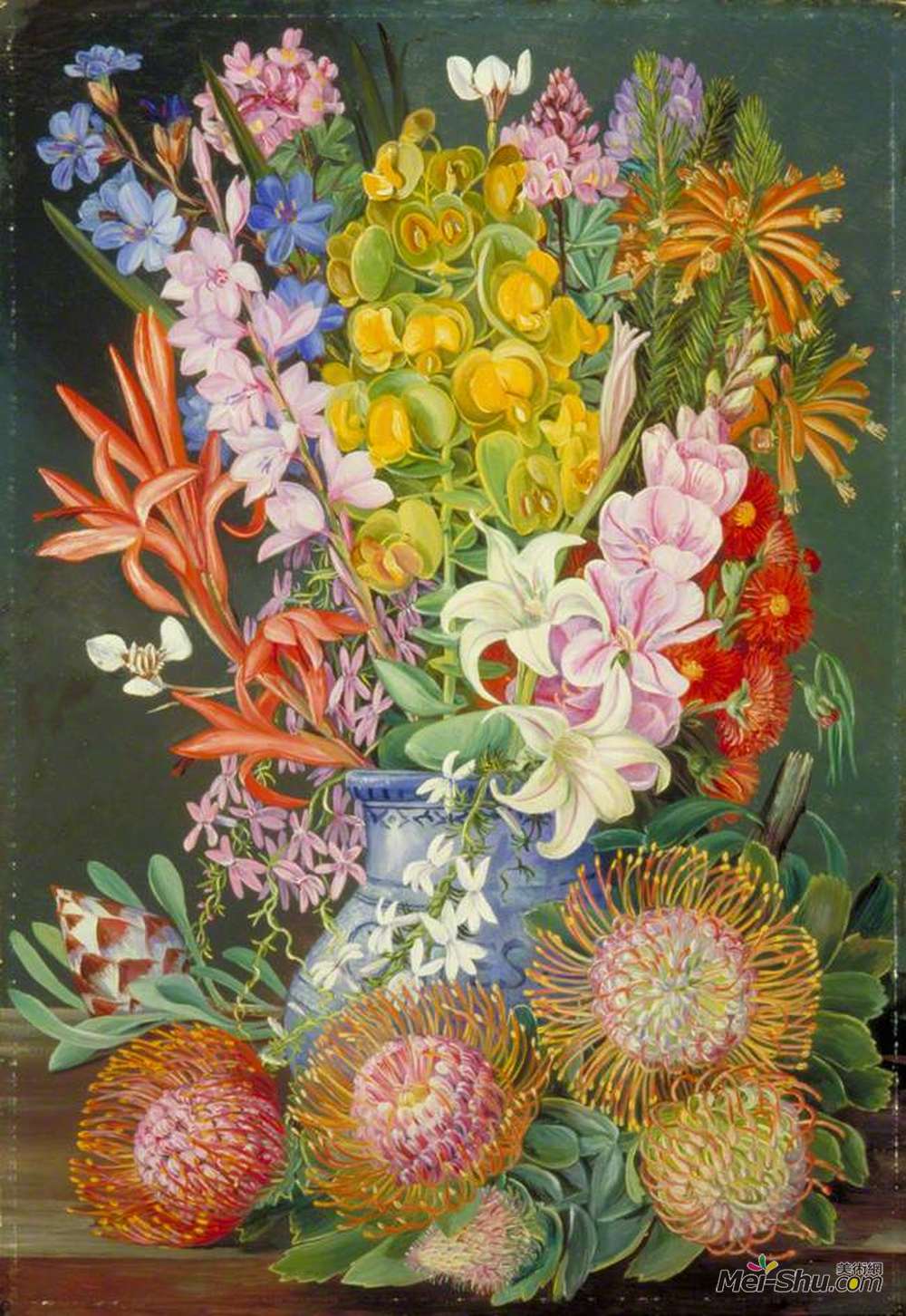 玛丽安娜·诺斯(Marianne North)高清作品《Wild Flowers of Ceres, South Africa》