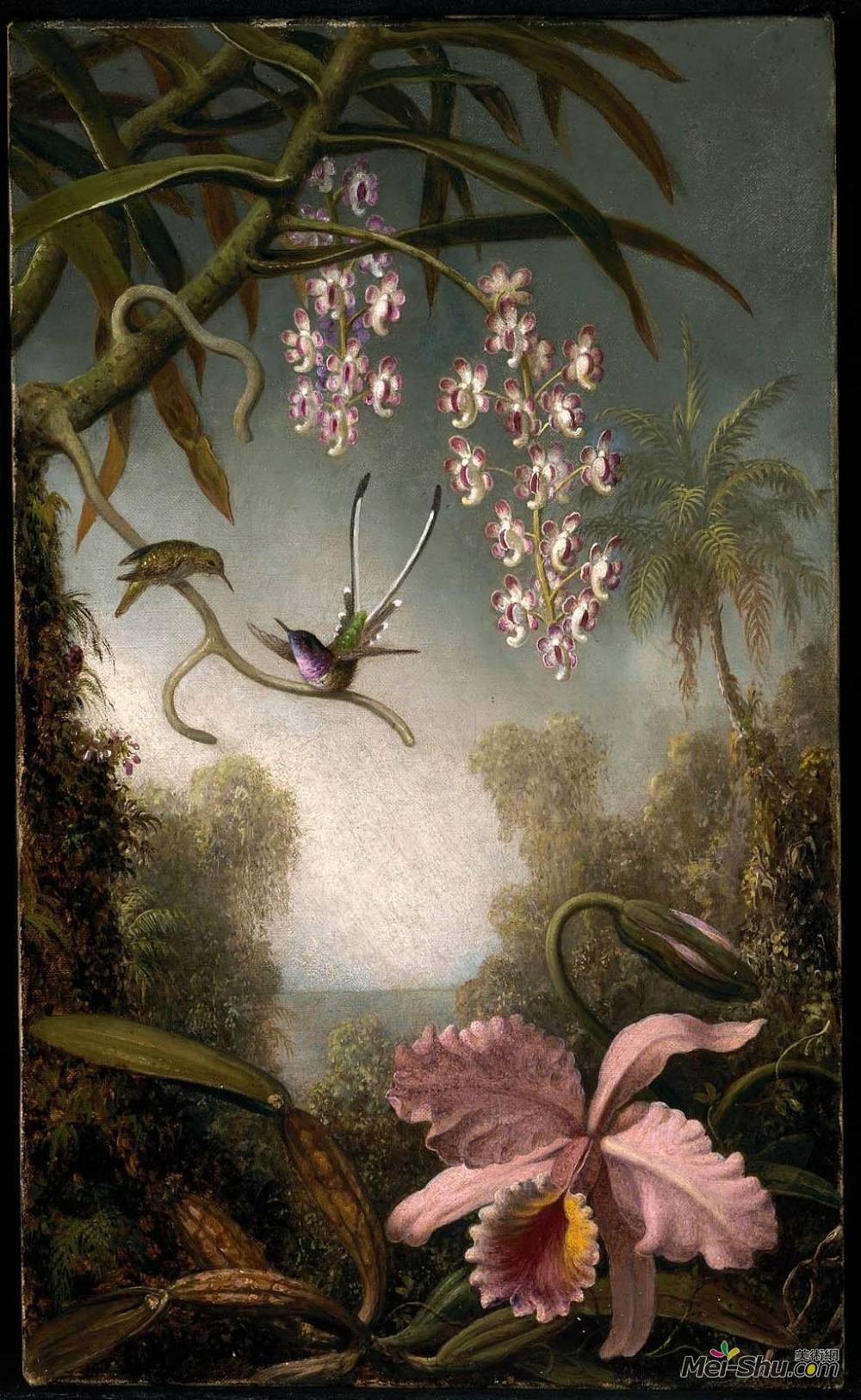 马丁·约翰逊·赫德(Martin Johnson Heade)高清作品《兰花和喷兰花配蜂鸟》