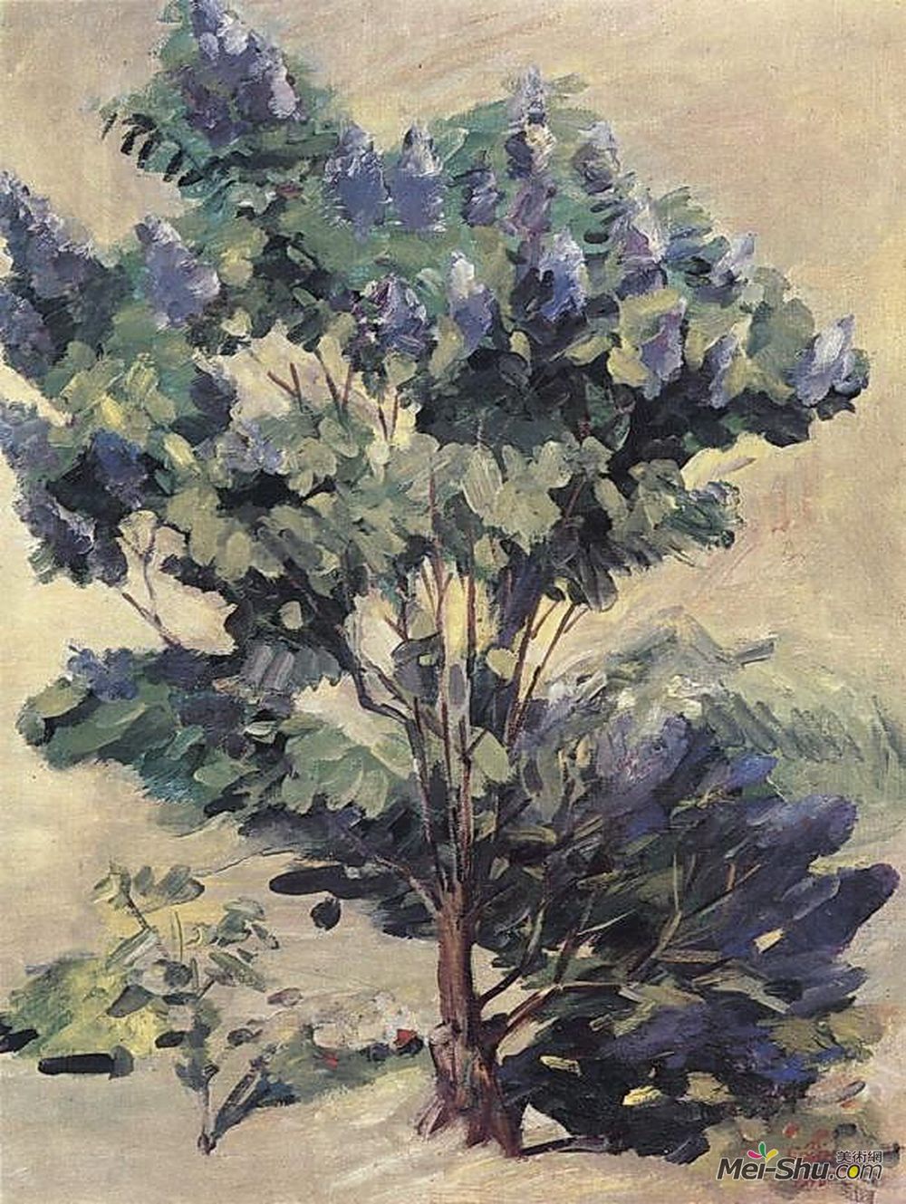 马蒂罗斯(Martiros Sarian)高清作品《丁香花》