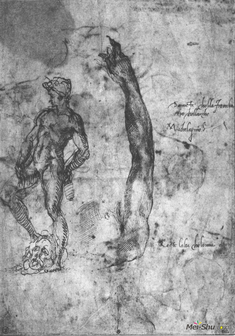 米开朗基罗(Michelangelo)高清作品《Study for an arm of the marble David and the figure of the b》