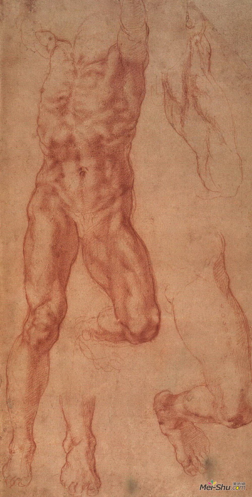 米开朗基罗(Michelangelo)高清作品《哈曼研究》