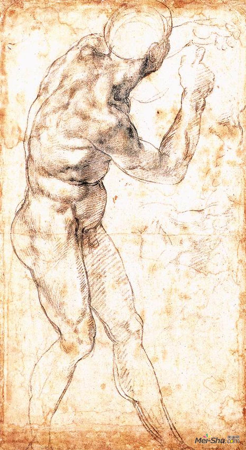 米开朗基罗(Michelangelo)高清作品《研究“卡西娜战役”和“战役”。》