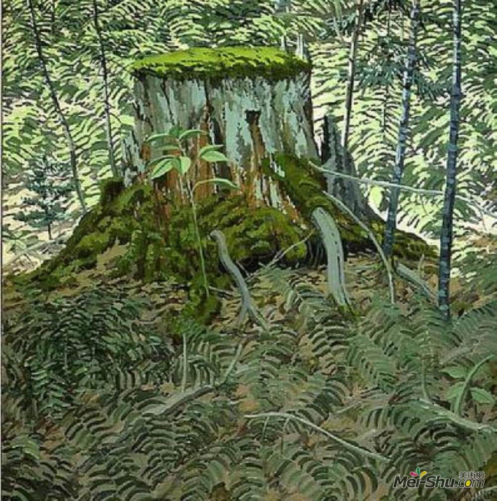 尼尔·韦利弗(Neil Welliver)高清作品《残肢蕨类植物》