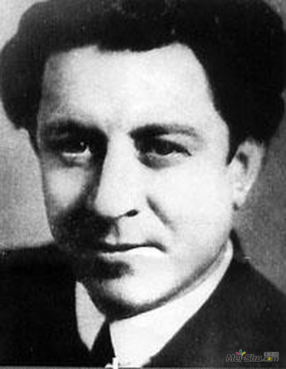 尼古拉塔涅夫(Nikola Tanev)