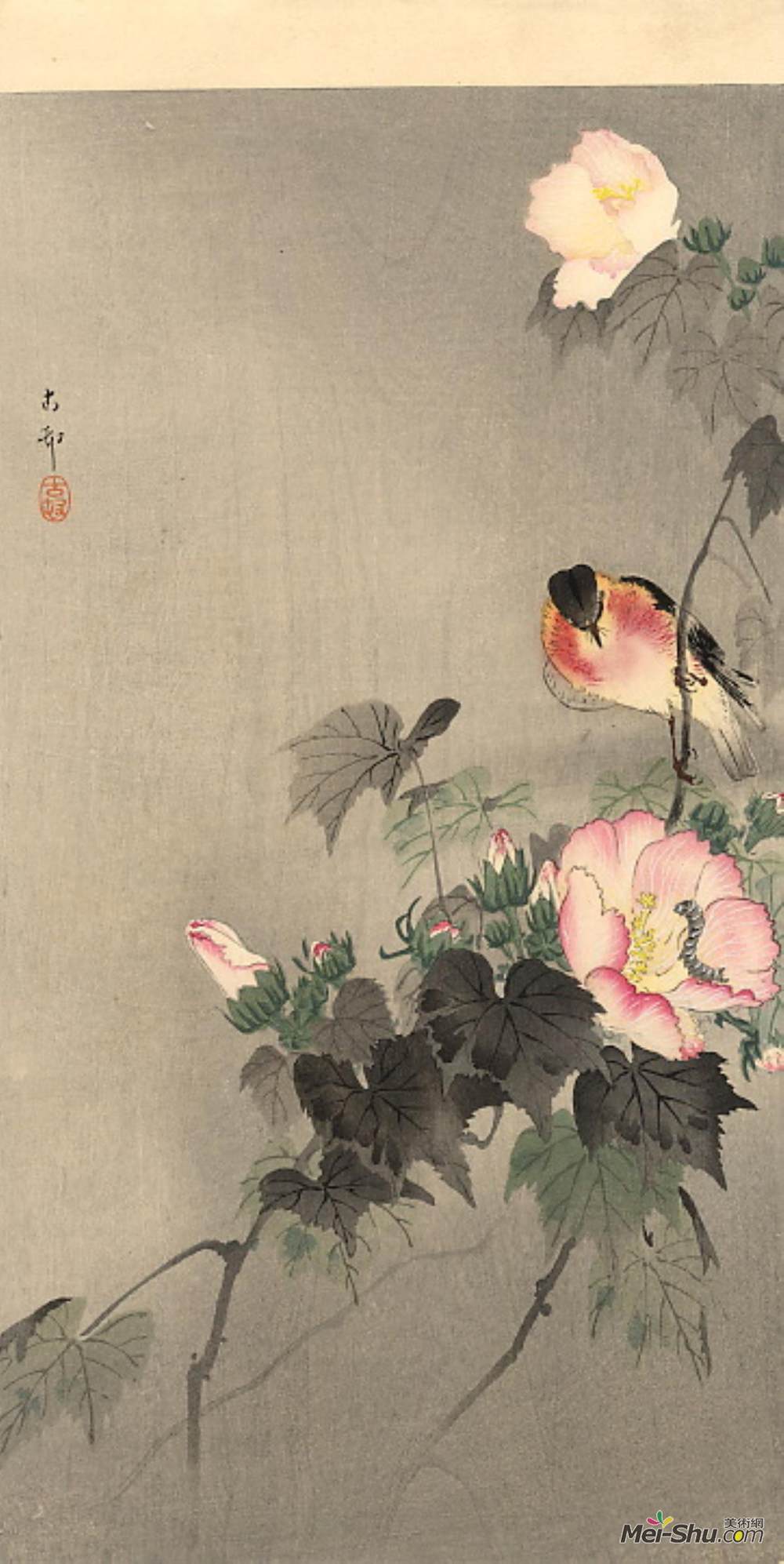 小原古邨(Ohara Koson)高清作品《石花开花》