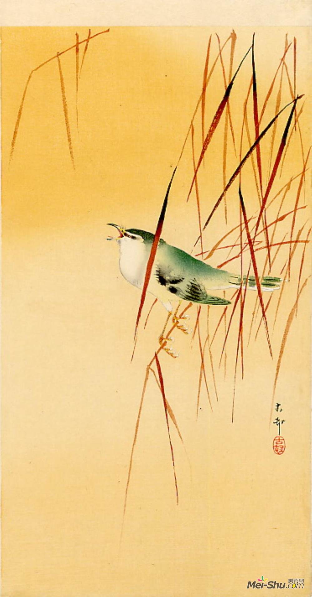 小原古邨(Ohara Koson)高清作品《芦苇鸣鸟》