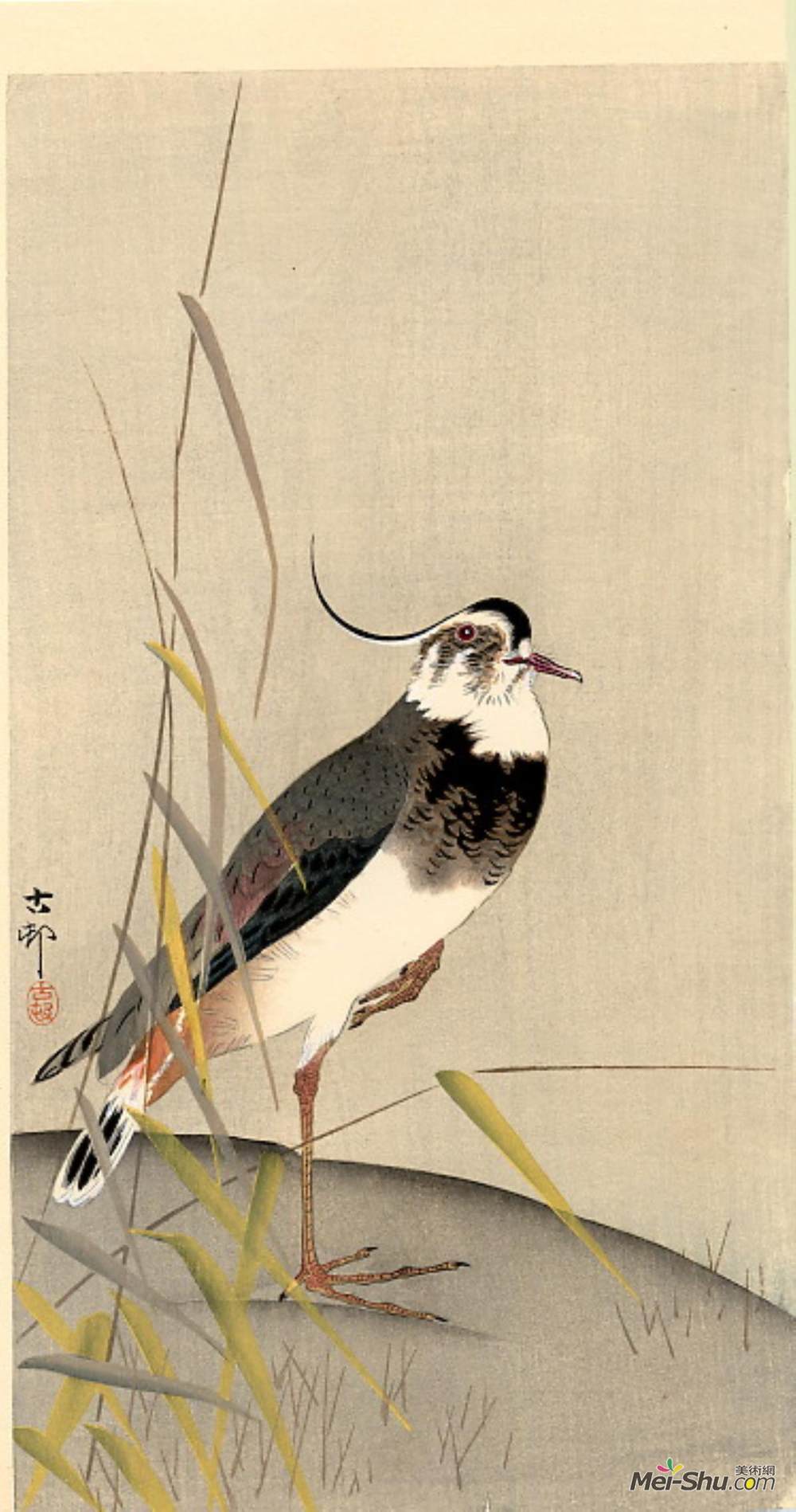 小原古邨(Ohara Koson)高清作品《马尾辫》