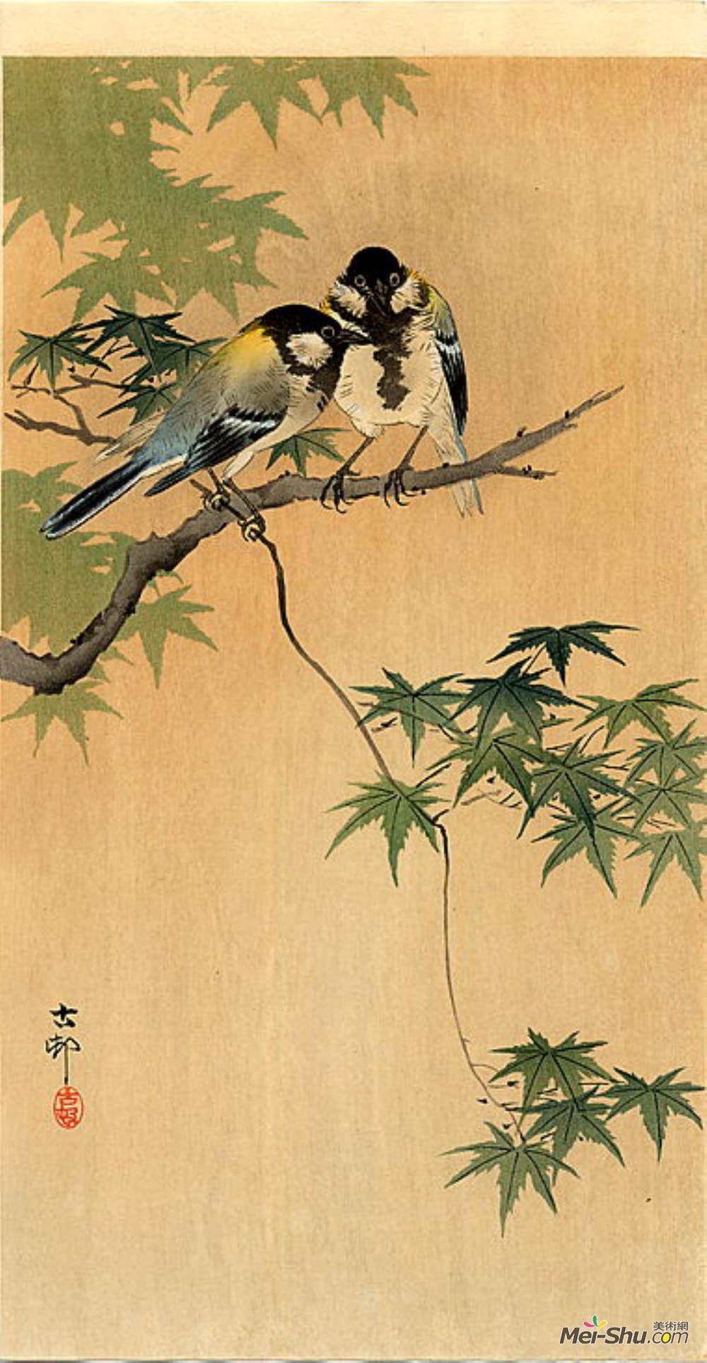 小原古邨(Ohara Koson)高清作品《枫树山雀》