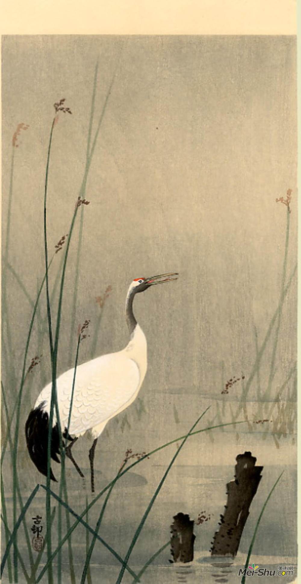 小原古邨(Ohara Koson)高清作品《小水吊》