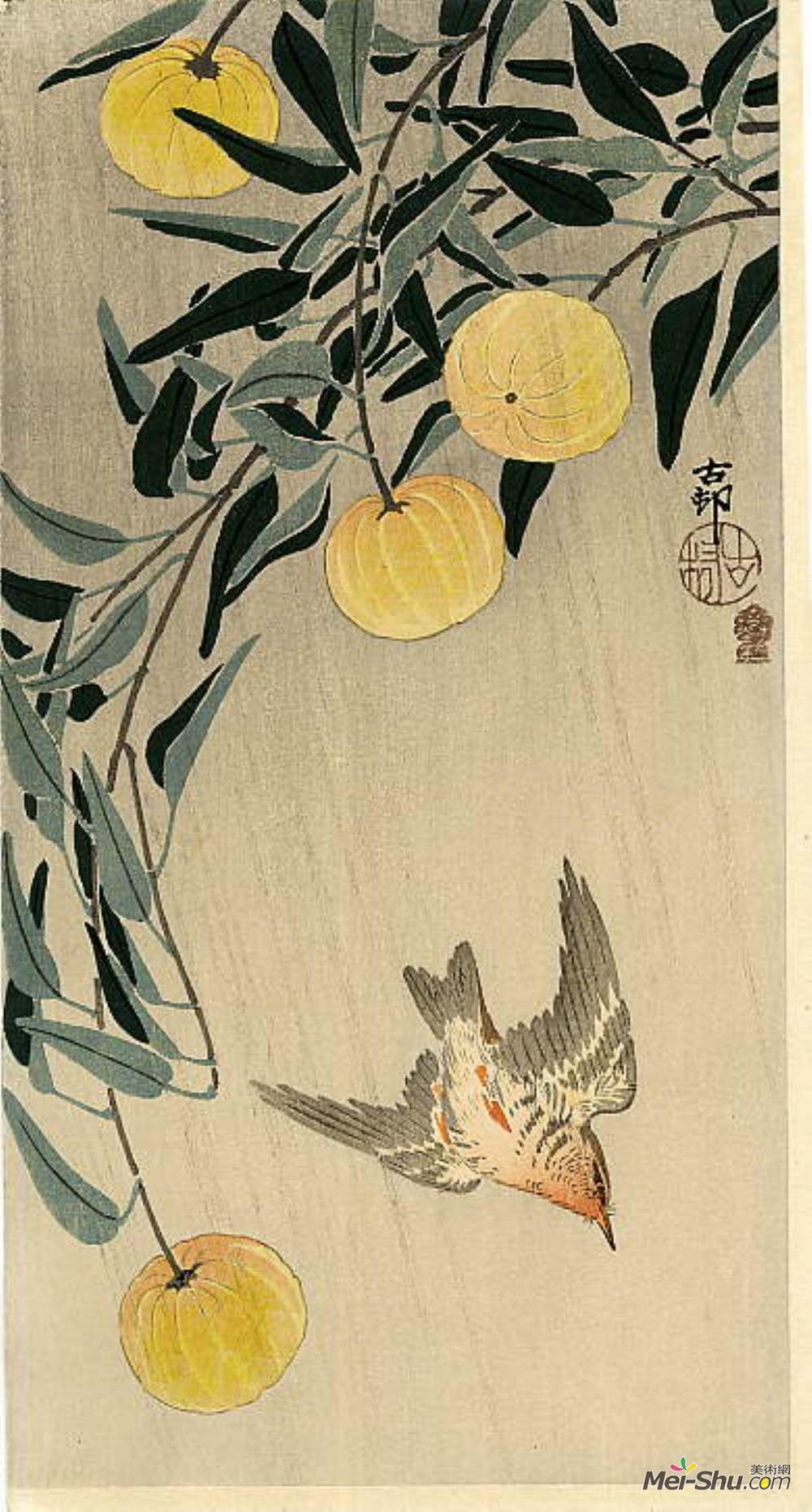 小原古邨(Ohara Koson)高清作品《布谷鸟-初夏的雨》