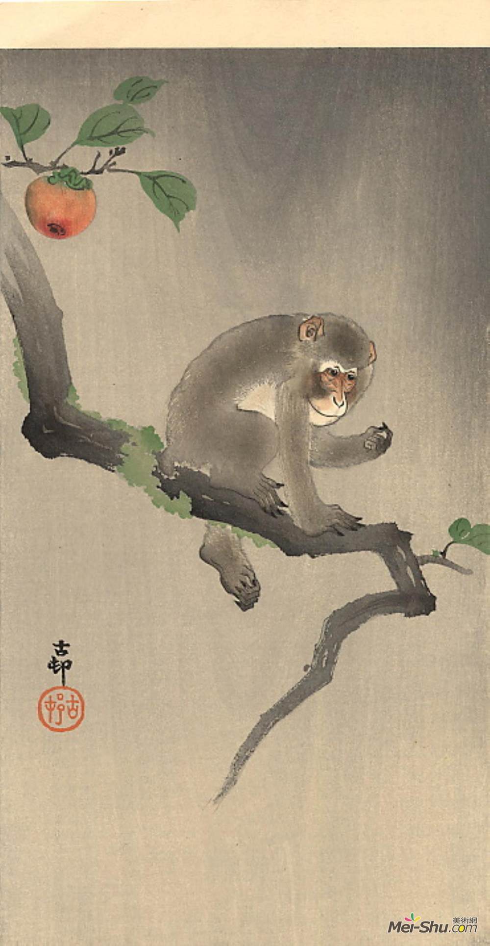 小原古邨(Ohara Koson)高清作品《树上的猴子》