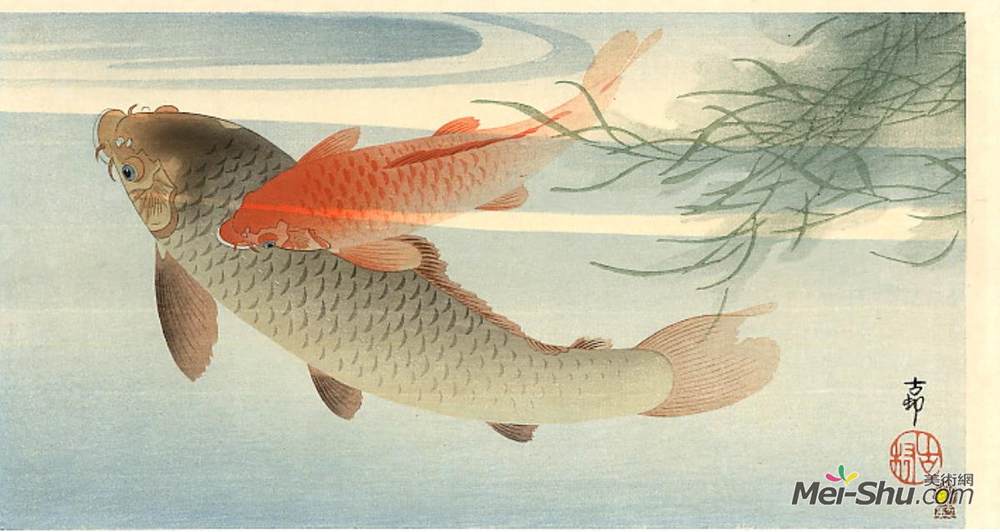 小原古邨(Ohara Koson)高清作品《金鲤》