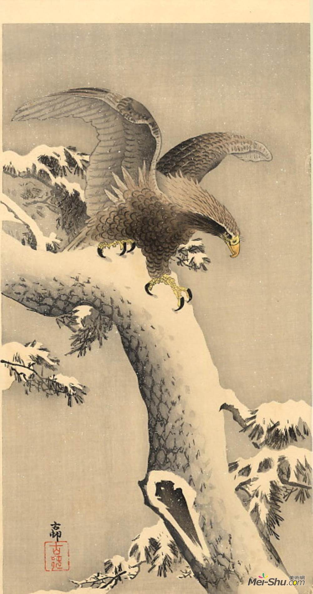 小原古邨(Ohara Koson)高清作品《雪下鹰》