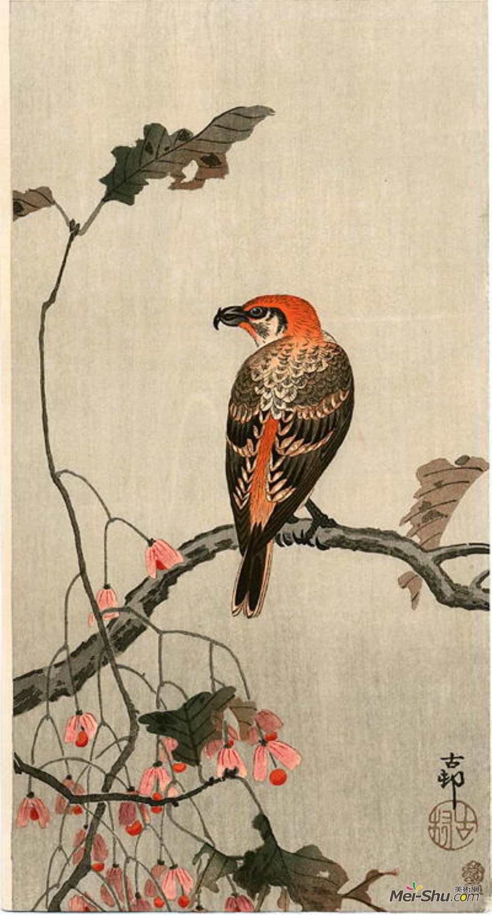 小原古邨(Ohara Koson)高清作品《十字喙》