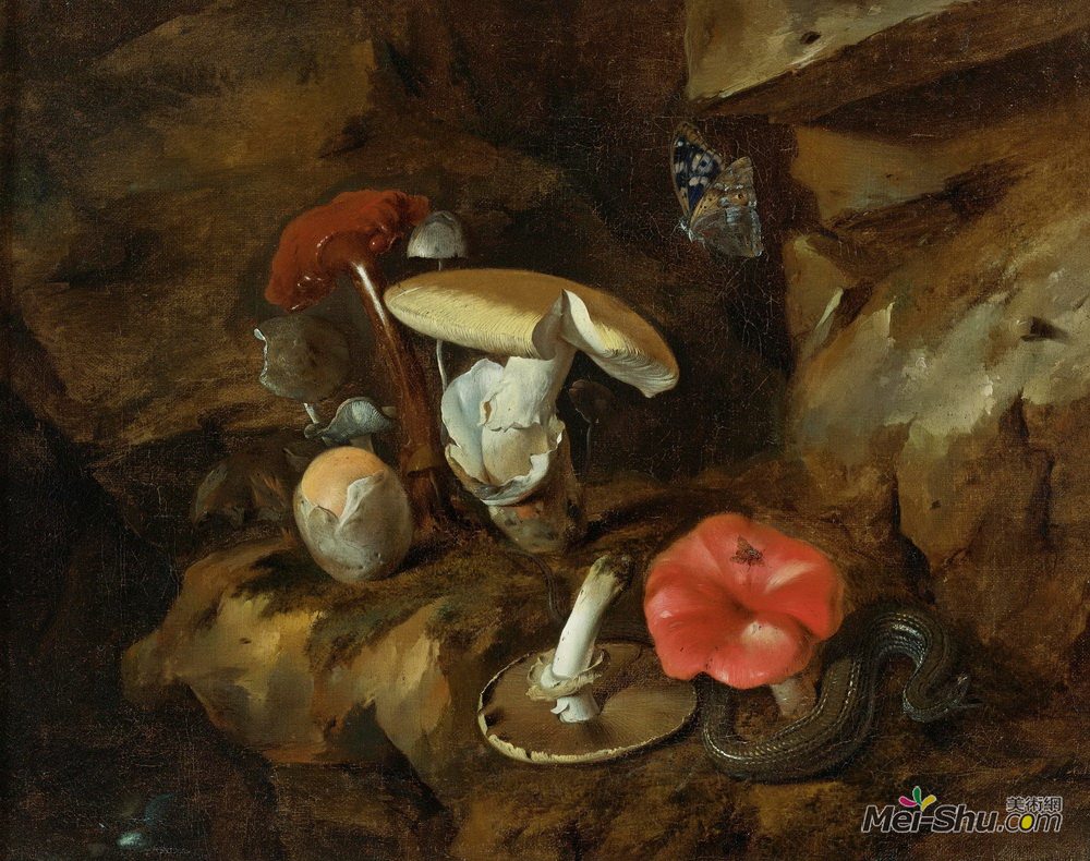 奥托·马尔斯尤斯·冯·世里克(Otto Marseus van Schrieck)高清作品《森林地板的静物，蘑菇，蛇和屁股》