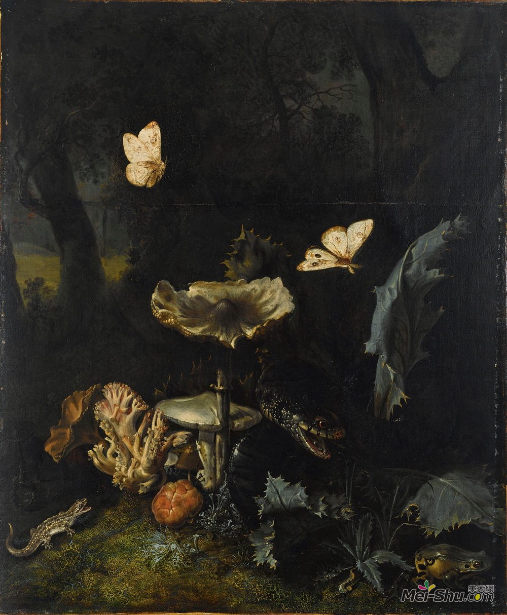 奥托·马尔斯尤斯·冯·世里克(Otto Marseus van Schrieck)高清作品《A Forest Floor Still Life with Various Fungi, Thistles, An A》