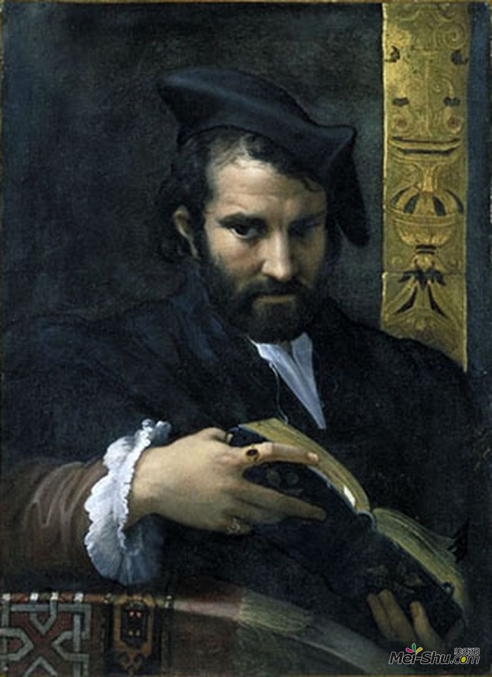 帕米贾尼诺(Parmigianino)高清作品《一本有书的人的肖像》