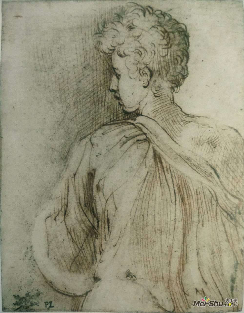 帕米贾尼诺(Parmigianino)高清作品《从后面看，脸上的年轻人》