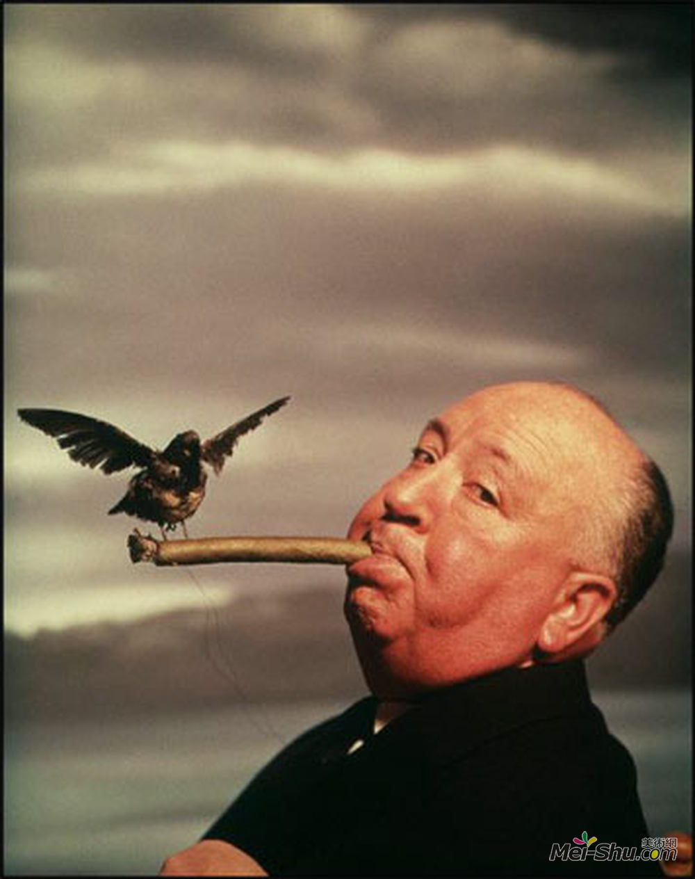 菲利普·哈尔斯曼(Philippe Halsman)高清作品《阿尔弗雷德希区柯克》