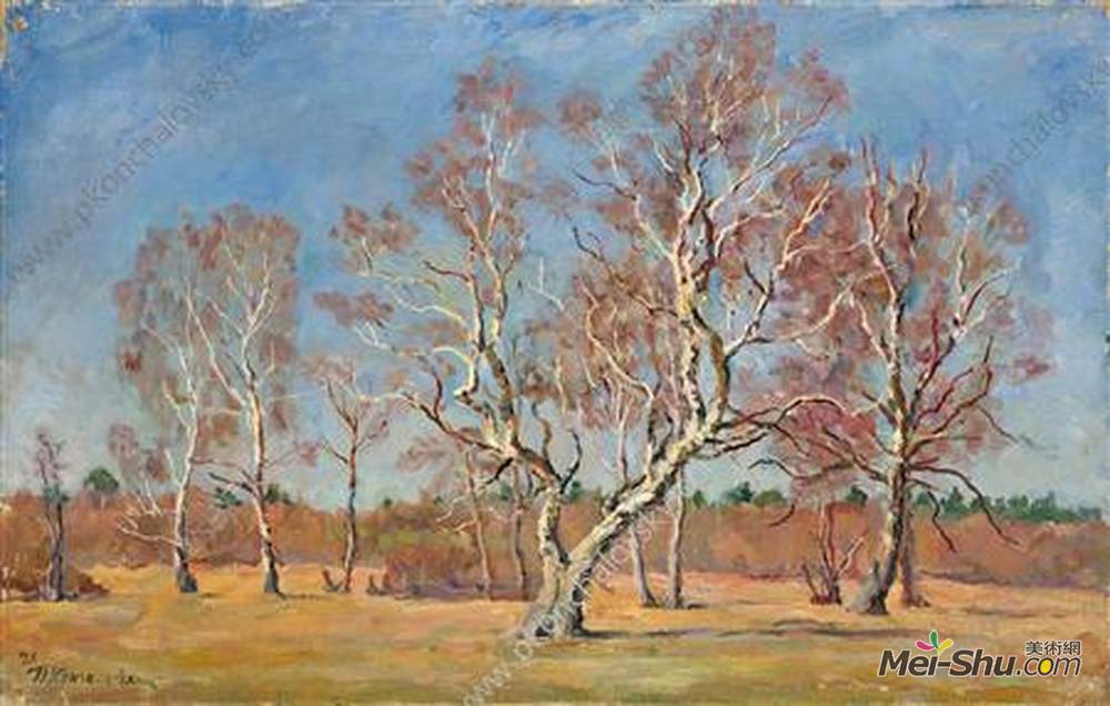 孔科洛夫茨基(Pyotr Konchalovsky)高清作品《早春。桦树。》