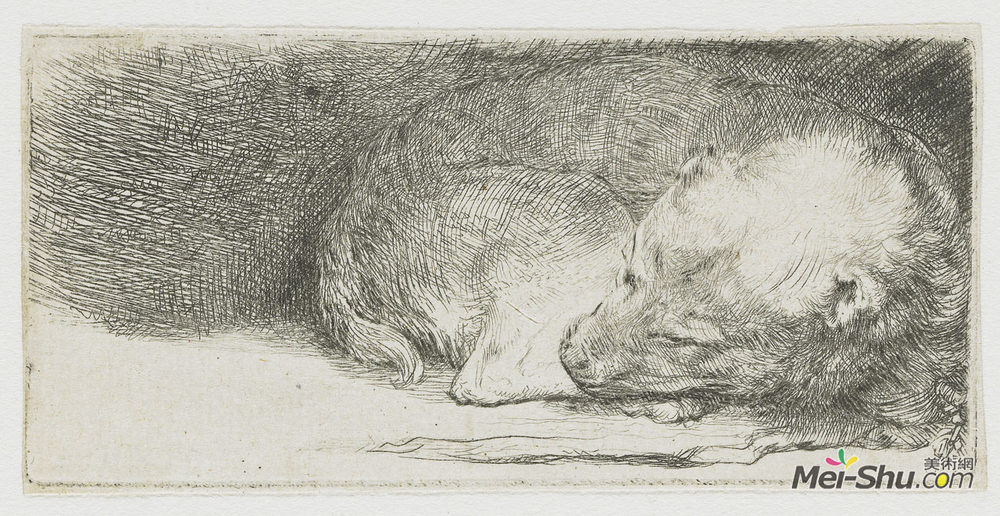 伦勃朗(Rembrandt)高清作品《沉睡的小狗》