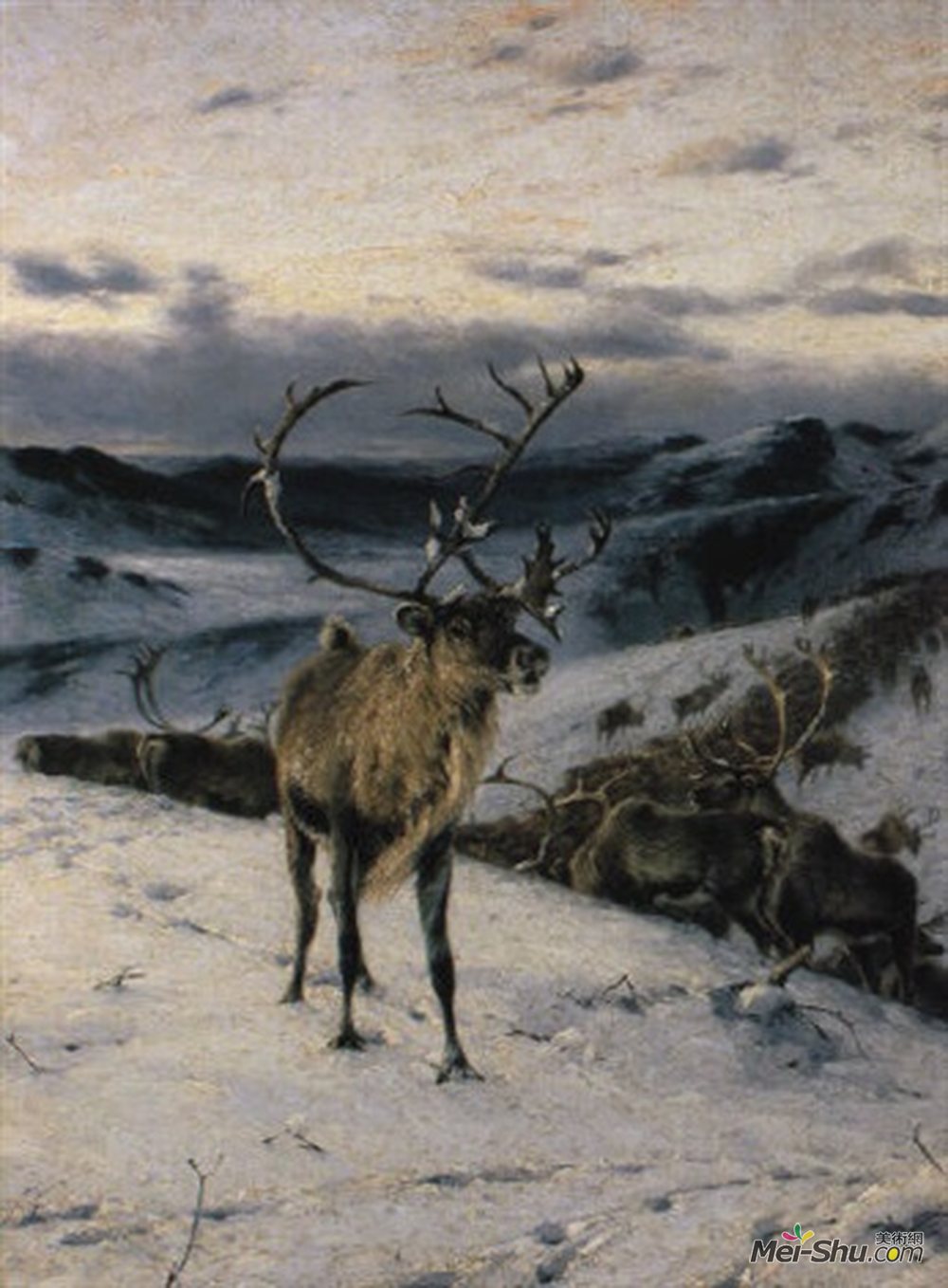 理查德德弗里泽(Richard Friese)高清作品《驯鹿和雪tundralandschaf amp?he ANH前》