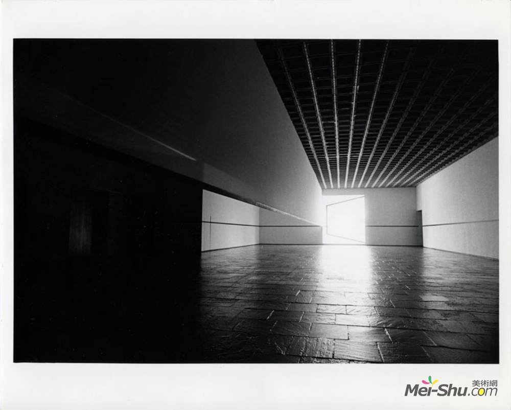 罗伯特·欧文(Robert Irwin)高清作品《壁纸/黑色长方形/自然光（惠特尼博物馆）》