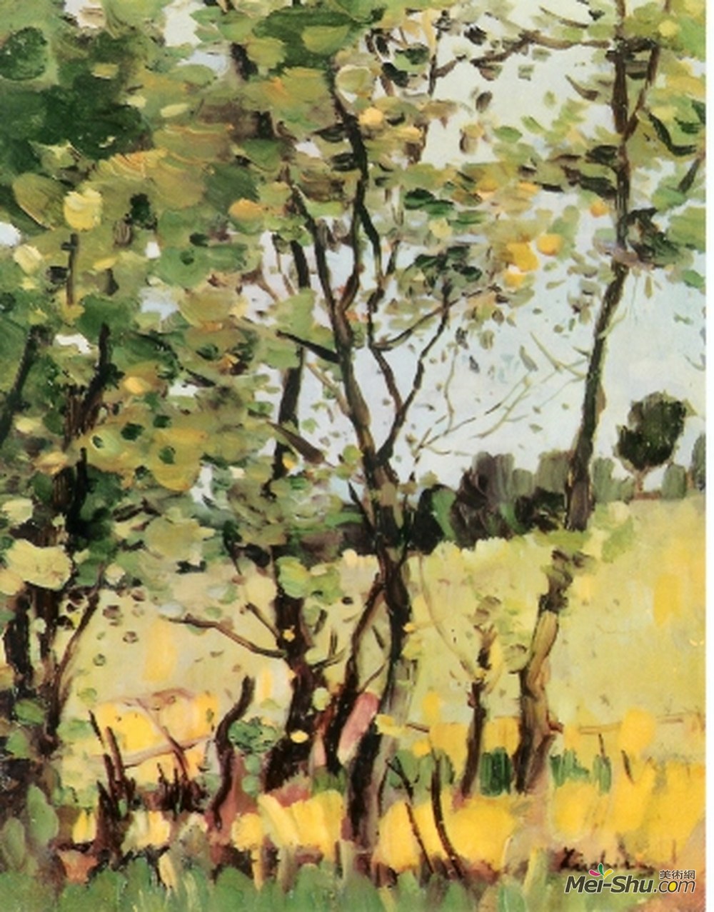 斯特凡卢契安(Stefan Luchian)高清作品《The River Meadow at Poduri》