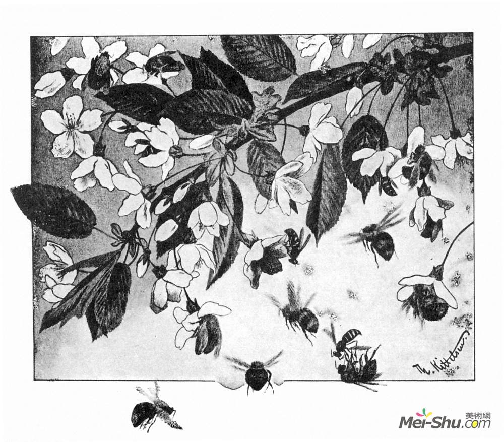 蒂奥多·吉特尔森(Theodor Severin Kittelsen)高清作品《帕斯基尔巴耶格伦》
